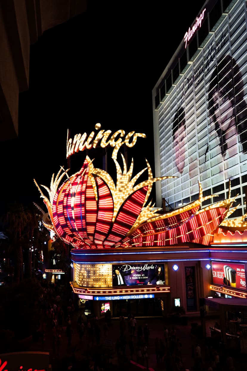 Progressive Jackpot Video Poker Explained