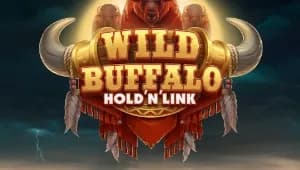 Wild Buffalo