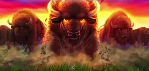 Buffalo Blitz