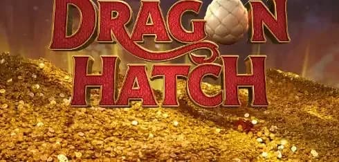 Dragon Hatch