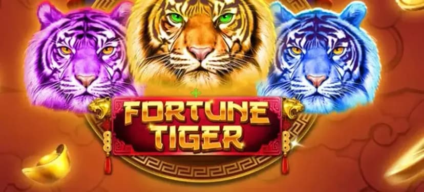 Fortune Tiger
