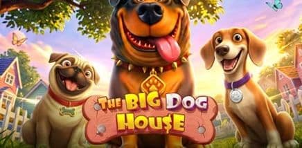 The Big Dog House