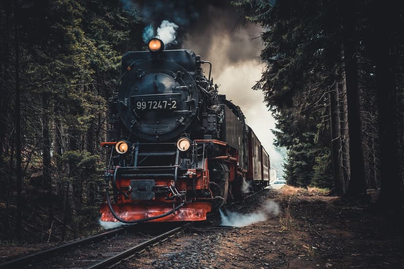 Wild Wild West: The Great Train Heist